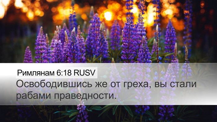 Римлянам 6:18 RUSV Bible Verse Image