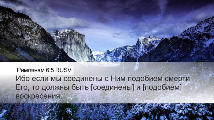 Римлянам 6:5 RUSV Bible Verse Image