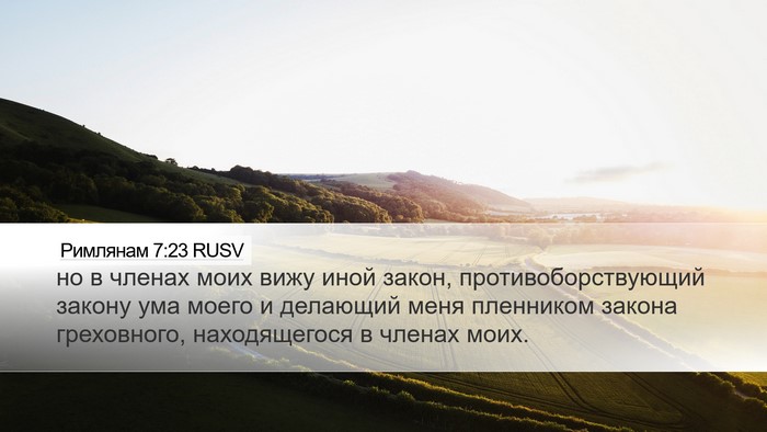 Римлянам 7:23 RUSV Bible Verse Image