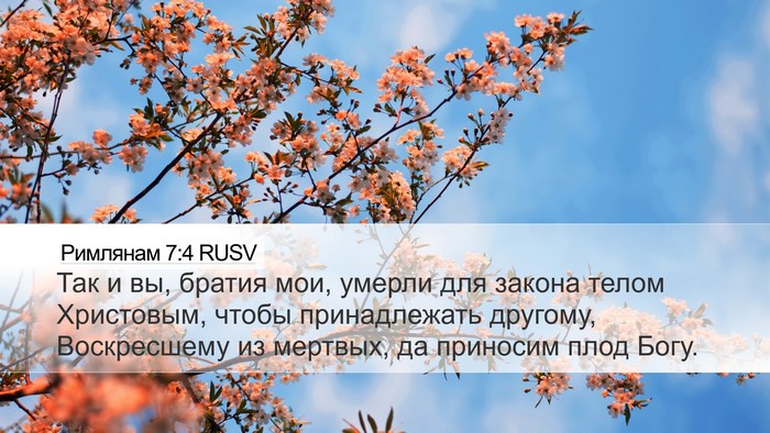 Римлянам 7:4 RUSV Bible Verse Image