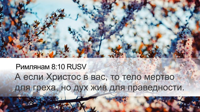Римлянам 8:10 RUSV Bible Verse Image