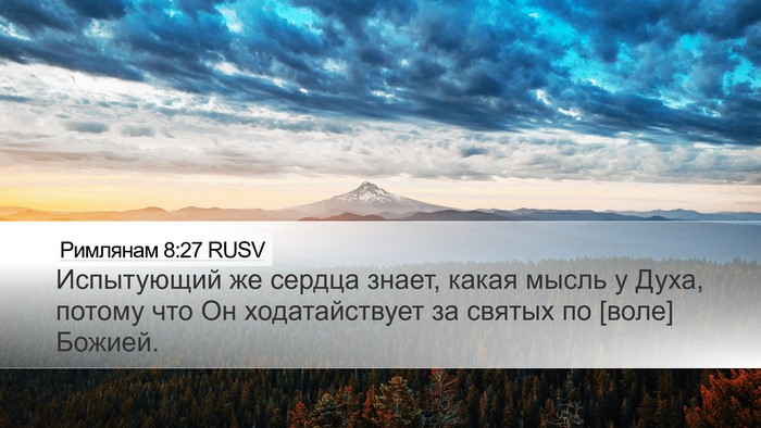 Римлянам 8:27 RUSV Bible Verse Image