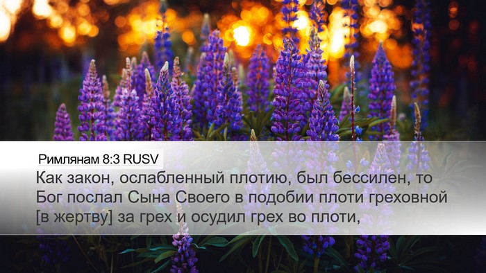 Римлянам 8:3 RUSV Bible Verse Image