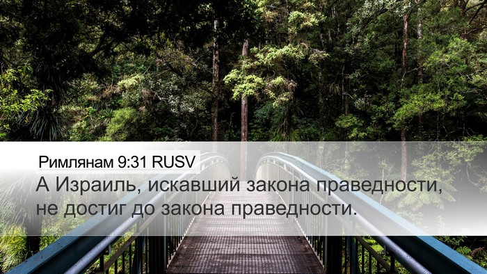 Римлянам 9:31 RUSV Bible Verse Image