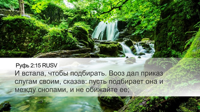 Руфь 2:15 RUSV Desktop Wallpaper - И встала, чтобы подбирать. - Desktop Bible Verse Wallpaper