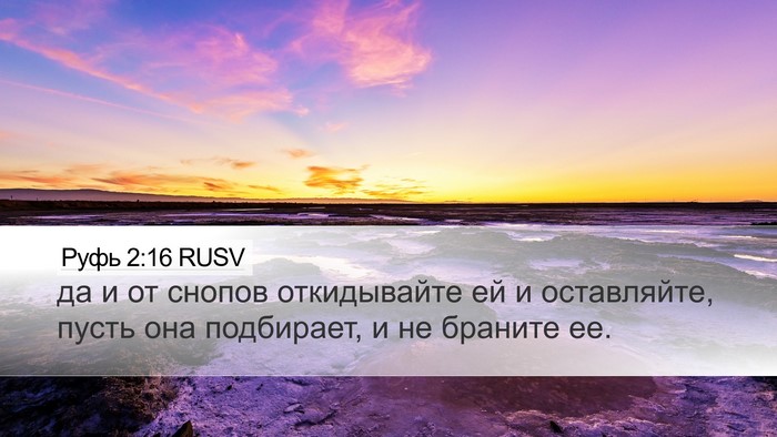 Руфь 2:16 RUSV Desktop Wallpaper - да и от снопов откидывайте - Desktop Bible Verse Wallpaper