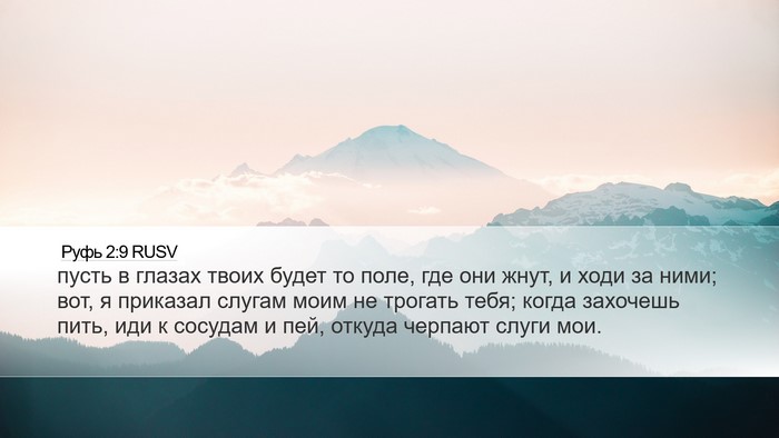 Руфь 2:9 RUSV Desktop Wallpaper - пусть в глазах твоих будет - Desktop Bible Verse Wallpaper