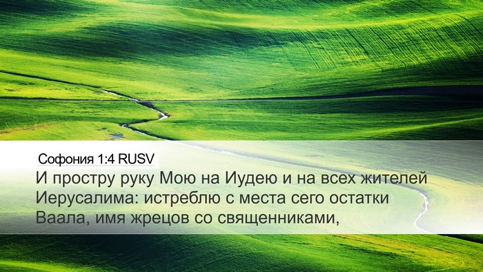 Софония 1:4 RUSV Bible Verse Image