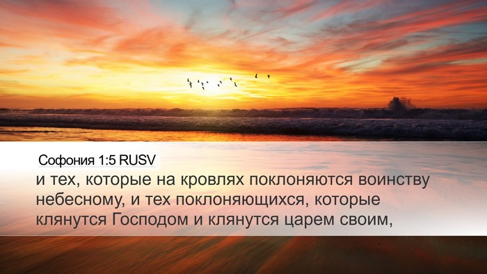 Софония 1:5 RUSV Bible Verse Image