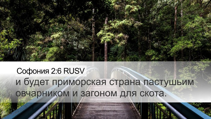 Софония 2:6 RUSV Desktop Wallpaper - и будет приморская страна - Desktop Bible Verse Wallpaper
