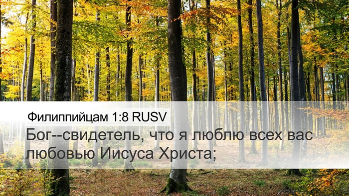 Филиппийцам 1:8 RUSV Bible Verse Image
