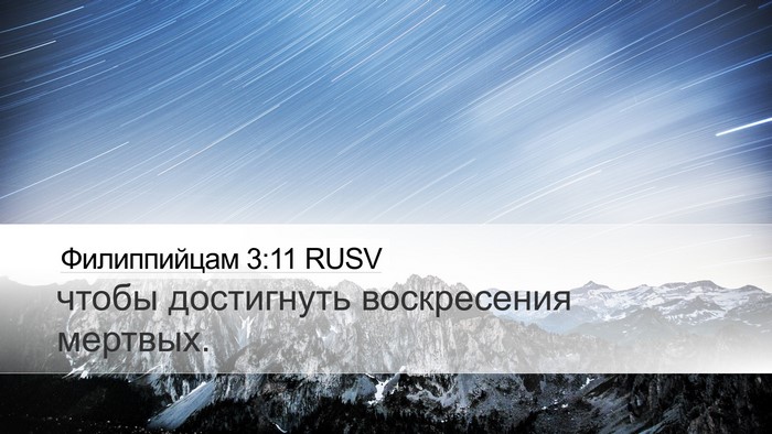 Филиппийцам 3:11 RUSV Desktop Wallpaper - чтобы достигнуть - Desktop Bible Verse Wallpaper