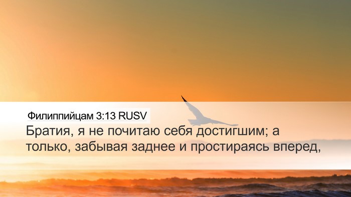 Филиппийцам 3:13 RUSV Bible Verse Image