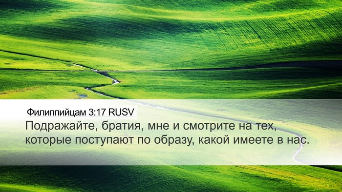 Филиппийцам 3:17 RUSV Bible Verse Image