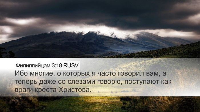 Филиппийцам 3:18 RUSV Bible Verse Image
