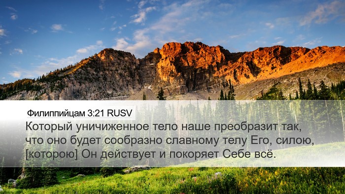 Филиппийцам 3:21 RUSV Bible Verse Image
