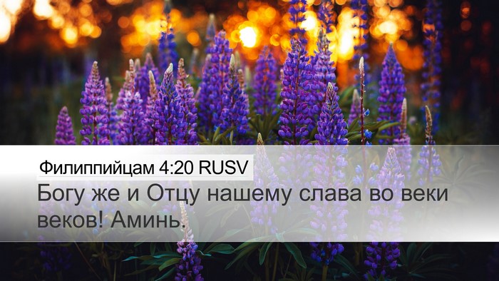 Филиппийцам 4:20 RUSV Desktop Wallpaper - Богу же и Отцу нашему слава - Desktop Bible Verse Wallpaper
