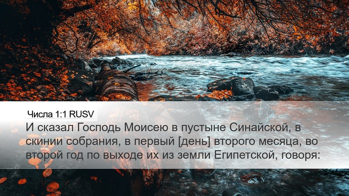 Числа 1:1 RUSV Desktop Wallpaper - И сказал Господь Моисею в - Desktop Bible Verse Wallpaper