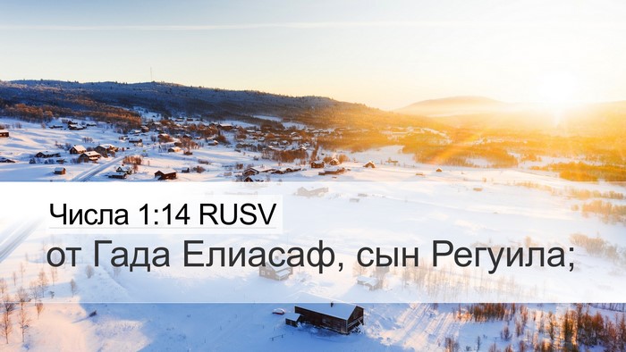 Числа 1:14 RUSV Bible Verse Image