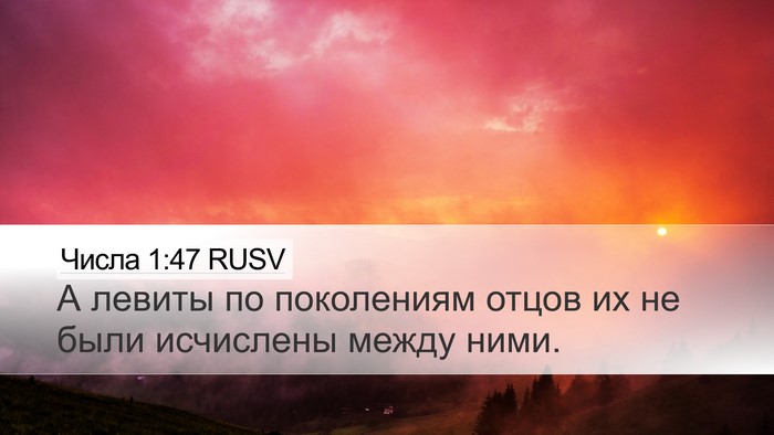 Числа 1:47 RUSV Bible Verse Image