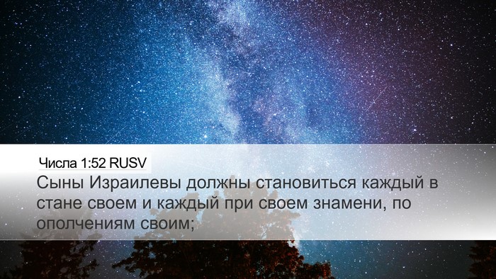 Числа 1:52 RUSV Bible Verse Image