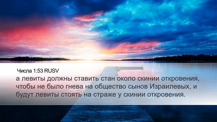 Числа 1:53 RUSV Bible Verse Image