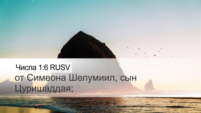 Числа 1:6 RUSV Bible Verse Image