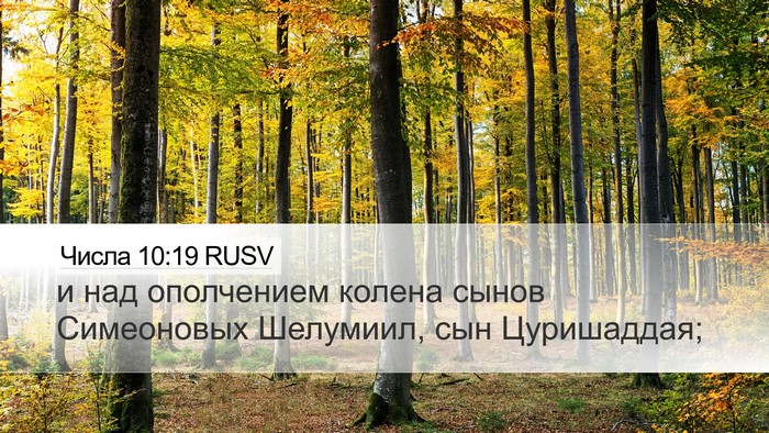 Числа 10:19 RUSV Desktop Wallpaper - и над ополчением колена - Desktop Bible Verse Wallpaper