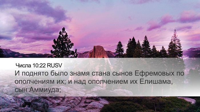 Числа 10:22 RUSV Bible Verse Image