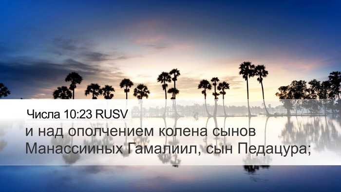 Числа 10:23 RUSV Bible Verse Image