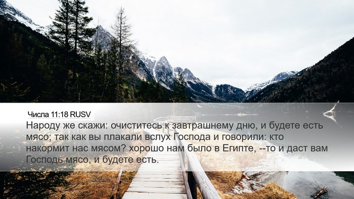 Числа 11:18 RUSV Desktop Wallpaper - Народу же скажи: - Desktop Bible Verse Wallpaper