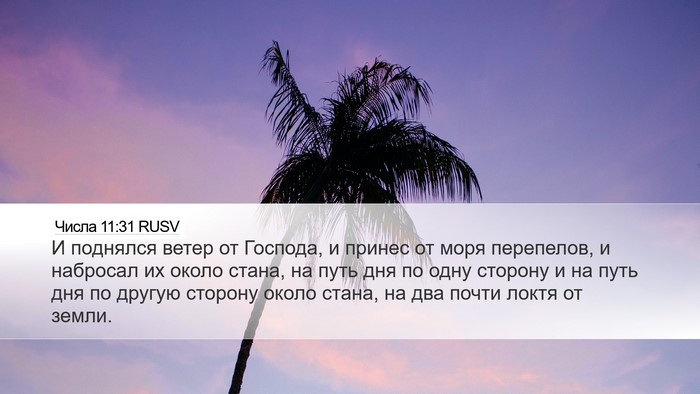 Числа 11:31 RUSV Bible Verse Image