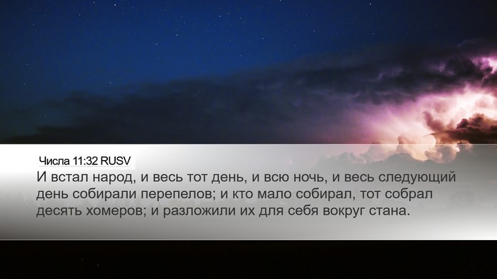 Числа 11:32 RUSV Bible Verse Image