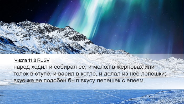 Числа 11:8 RUSV Bible Verse Image