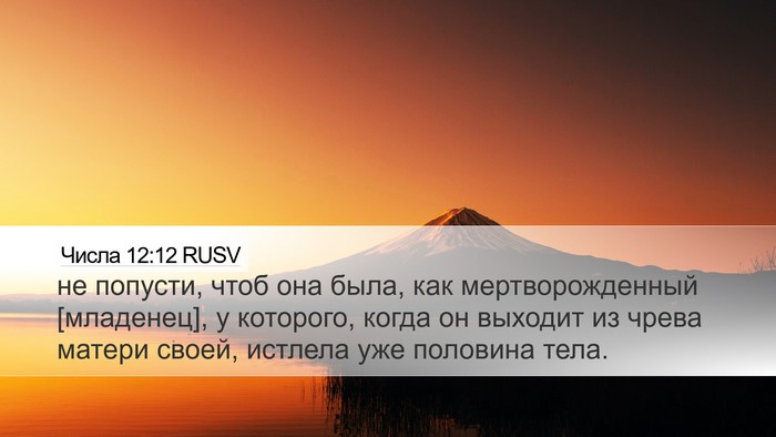 Числа 12:12 RUSV Desktop Wallpaper - не попусти, чтоб она была, - Desktop Bible Verse Wallpaper