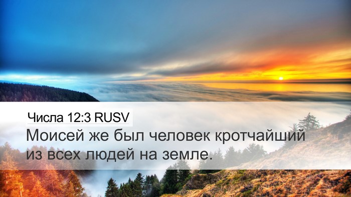 Числа 12:3 RUSV Bible Verse Image