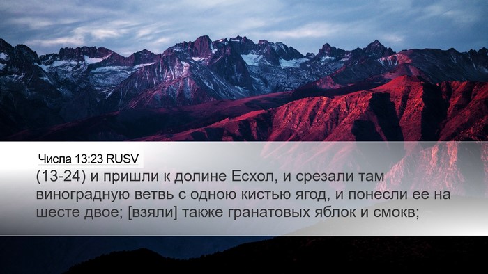 Числа 13:23 RUSV Bible Verse Image