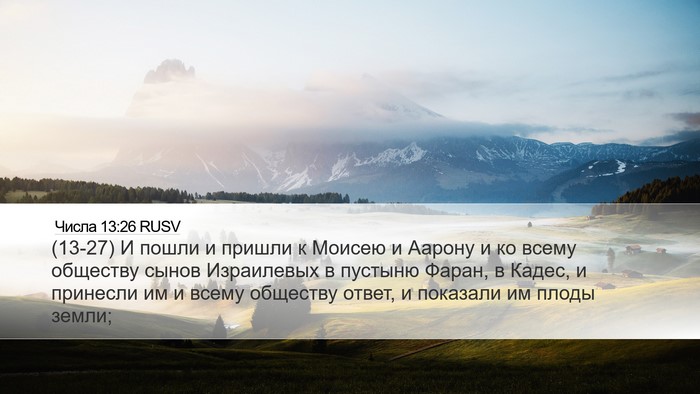 Числа 13:26 RUSV Bible Verse Image