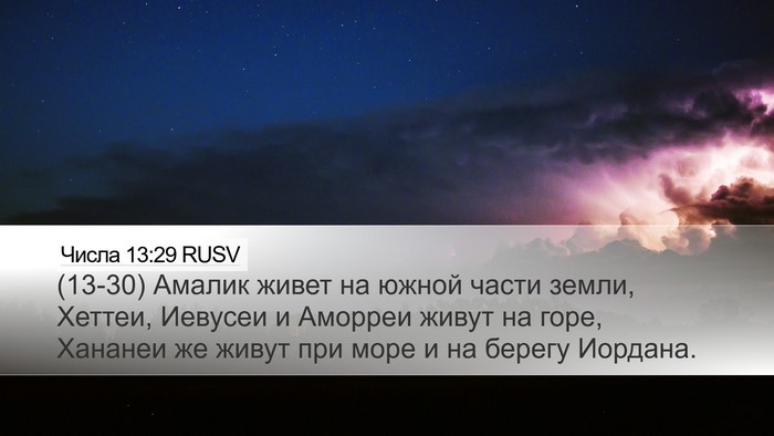 Числа 13:29 RUSV Bible Verse Image
