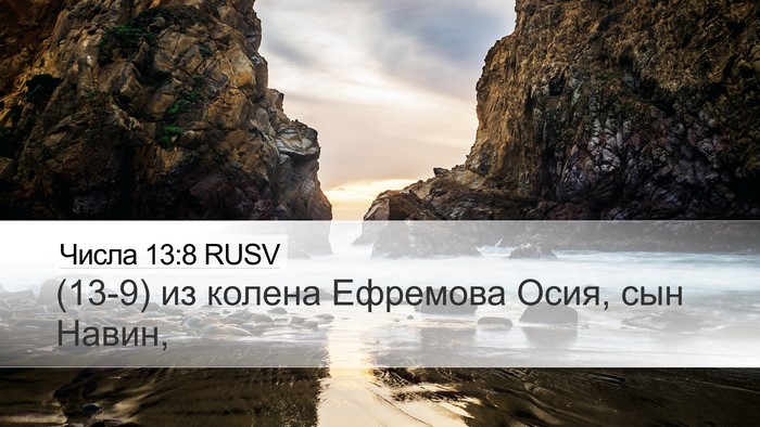 Числа 13:8 RUSV Bible Verse Image