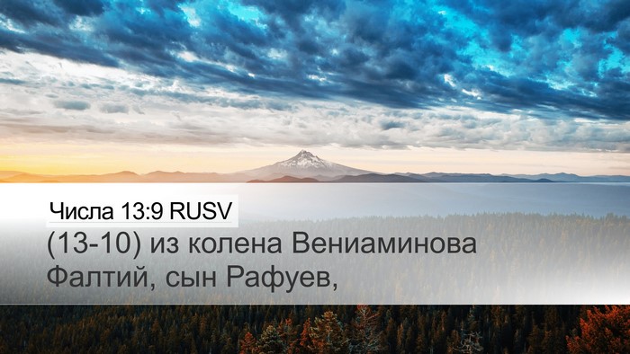 Числа 13:9 RUSV Desktop Wallpaper - (13-10) из колена Вениаминова - Desktop Bible Verse Wallpaper