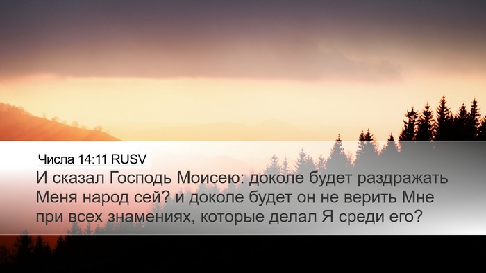 Числа 14:11 RUSV Bible Verse Image