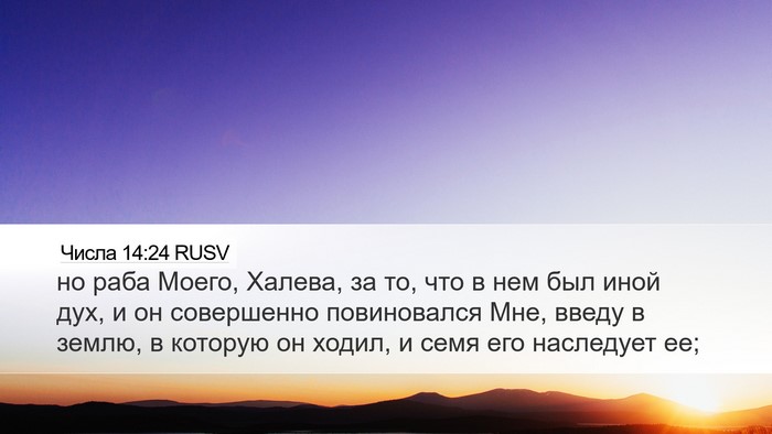 Числа 14:24 RUSV Bible Verse Image