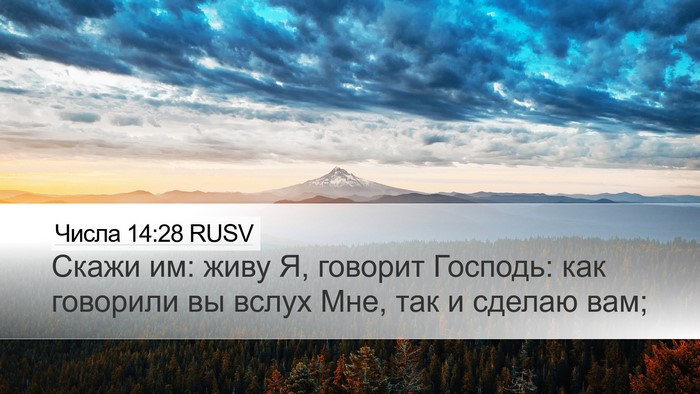 Числа 14:28 RUSV Bible Verse Image