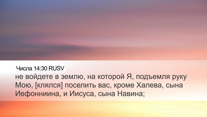 Числа 14:30 RUSV Bible Verse Image
