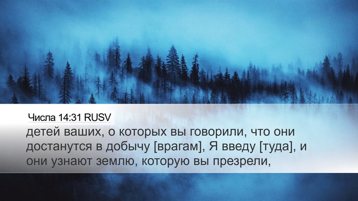Числа 14:31 RUSV Bible Verse Image