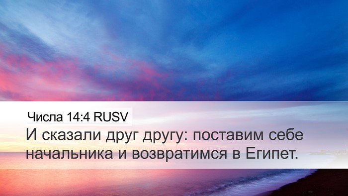 Числа 14:4 RUSV Desktop Wallpaper - И сказали друг другу: - Desktop Bible Verse Wallpaper