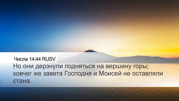 Числа 14:44 RUSV Desktop Wallpaper - Но они дерзнули подняться - Desktop Bible Verse Wallpaper