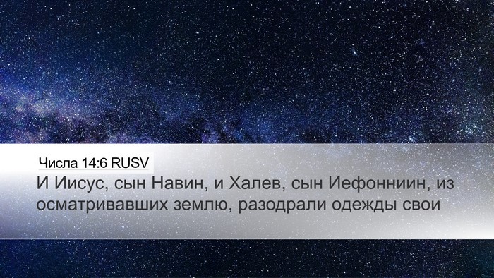 Числа 14:6 RUSV Bible Verse Image