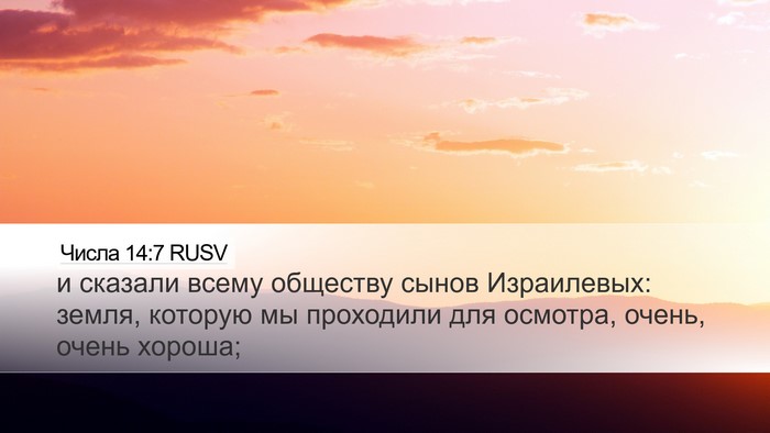 Числа 14:7 RUSV Desktop Wallpaper - и сказали всему обществу - Desktop Bible Verse Wallpaper